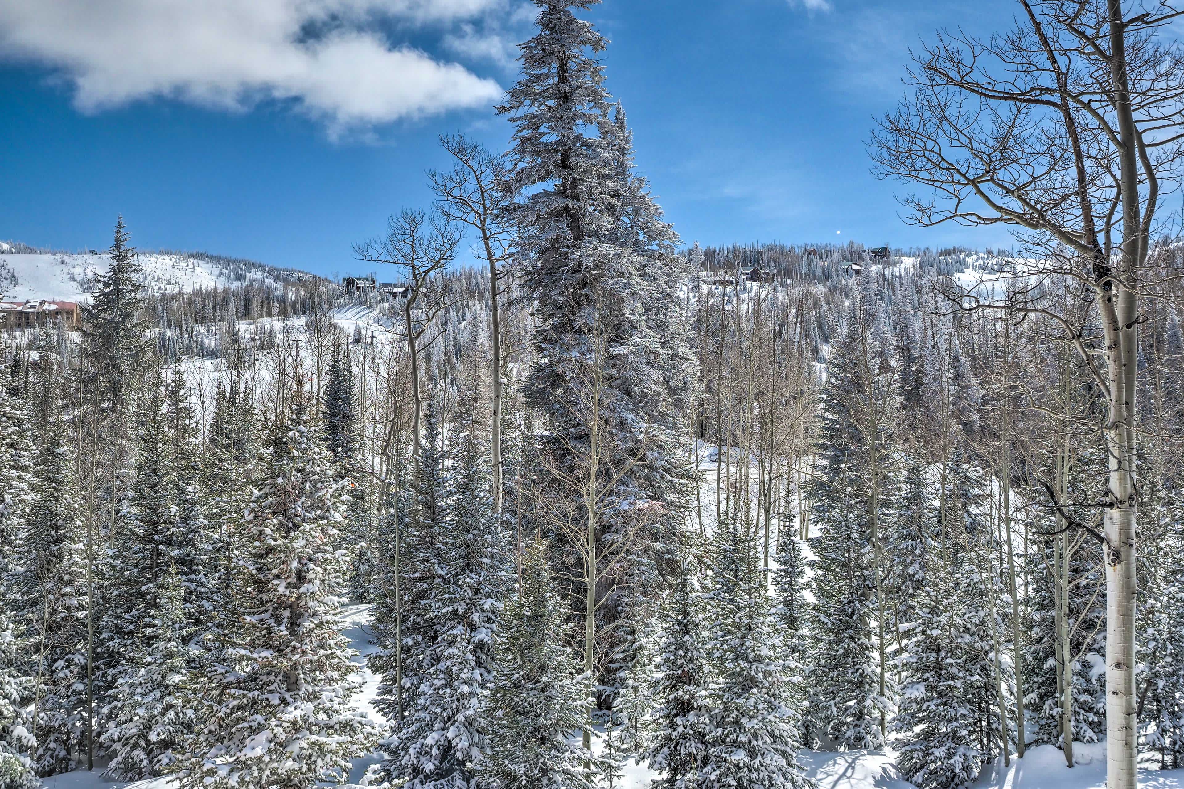 THE BEST Brian Head Vacation Rentals Book Now Evolve